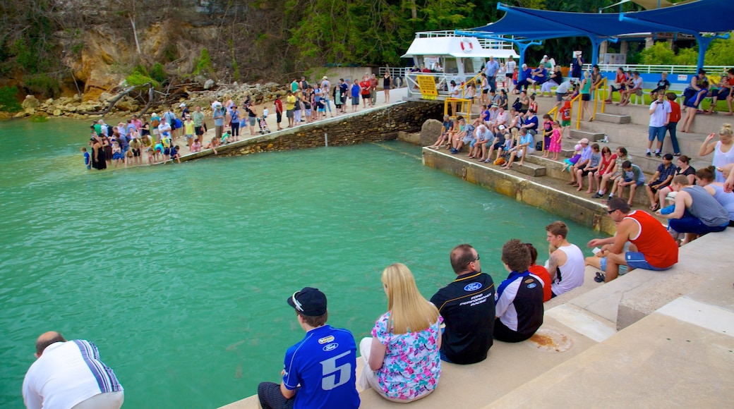 Aquascene showing general coastal views and marine life as well as a large group of people