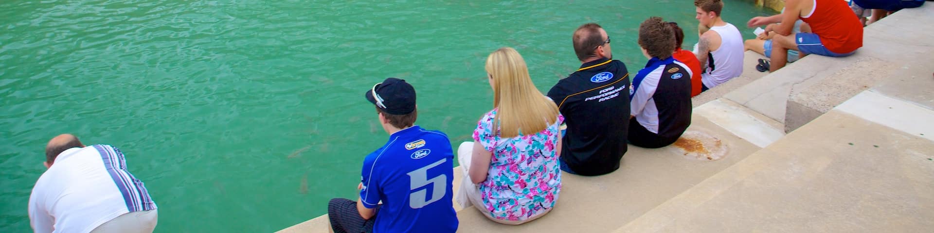 Aquascene which includes general coastal views and marine life as well as a large group of people