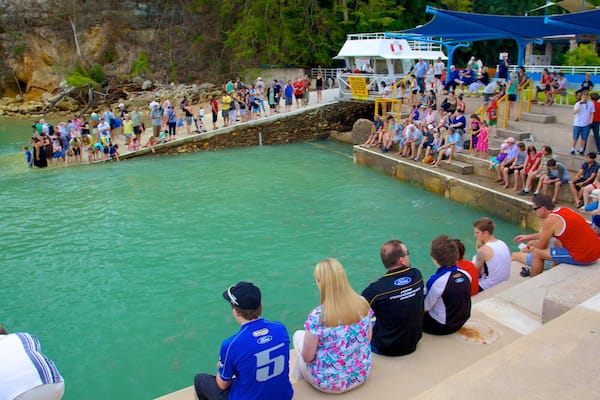 Aquascene showing general coastal views and marine life as well as a large group of people