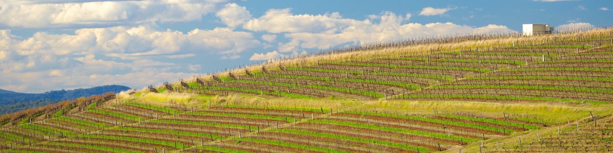 New South Wales welches beinhaltet Farmland und Landschaften