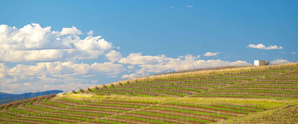 Nueva Gales del Sur ofreciendo tierras de cultivo y vistas de paisajes