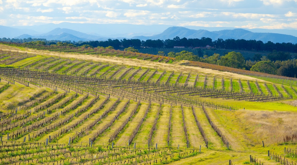 Central New South Wales