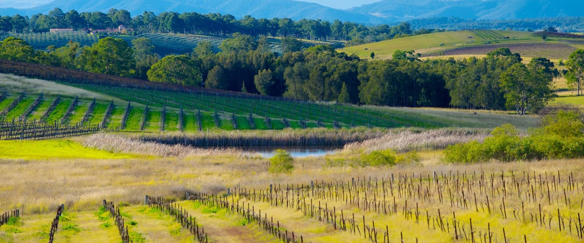 Nueva Gales del Sur ofreciendo tierras de cultivo y vistas de paisajes