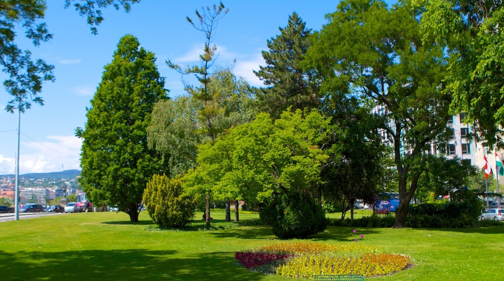 Szechenyi Istvans plass som viser blomster og park