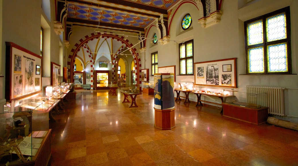 Vajdahunyad-kasteel bevat interieur en kasteel of paleis