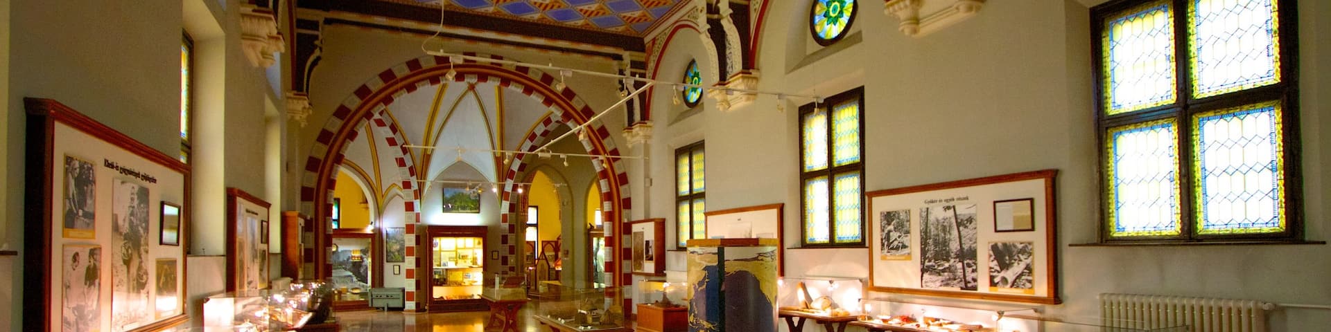 Vajdahunyad Castle showing interior views and chateau or palace