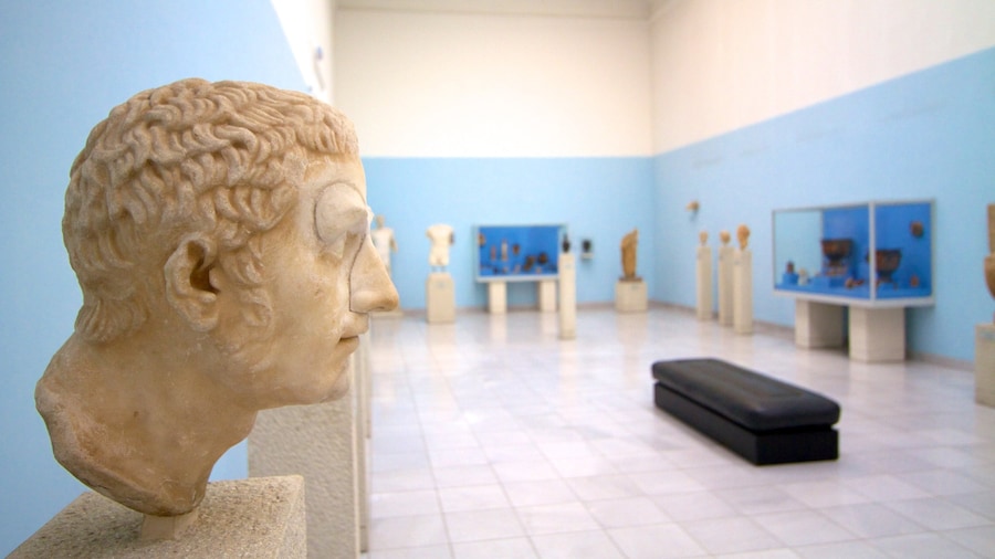 Museum of Fine Arts