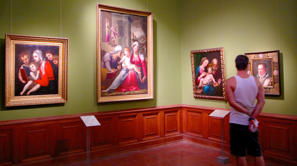 Museum of Fine Arts showing art and interior views as well as an individual male