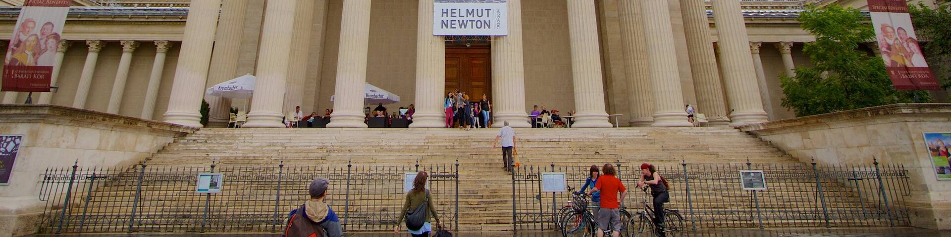 Museum of Fine Arts featuring a city and art