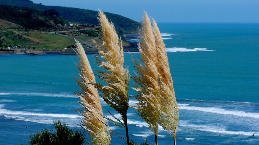 Hamilton showing general coastal views