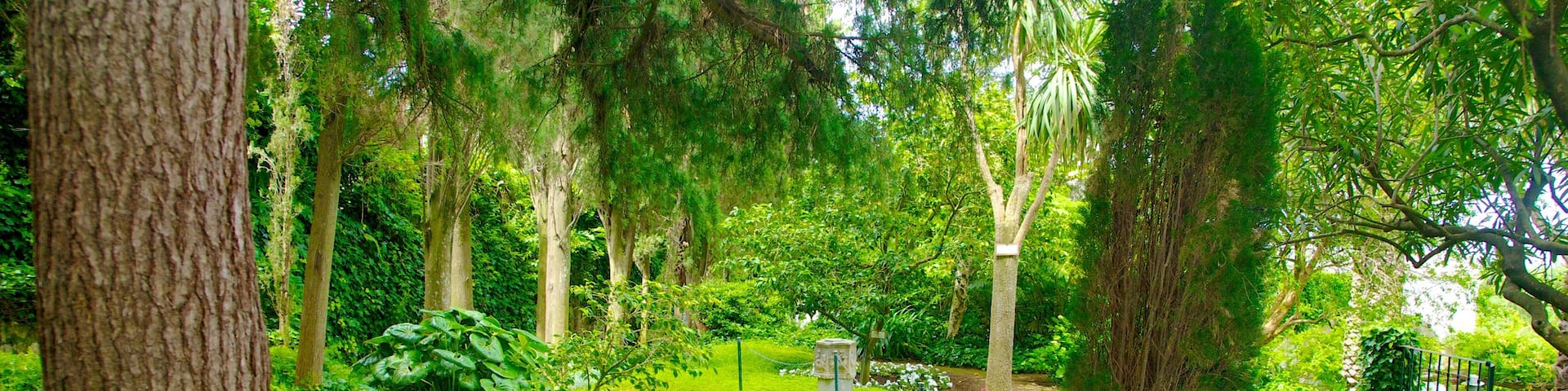 ヴィラ サン ミケーレ フィーチャー 常夏の風景, 公園 と 花