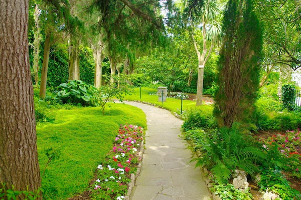 Villa San Michele featuring a garden, tropical scenes and flowers