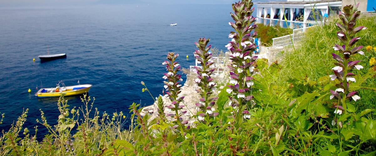Capri
