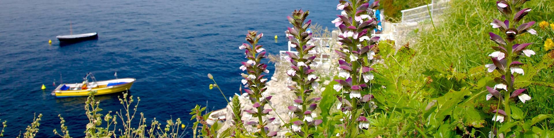 Capri mit einem KĂŒstenort, Bootfahren und FelskĂŒste