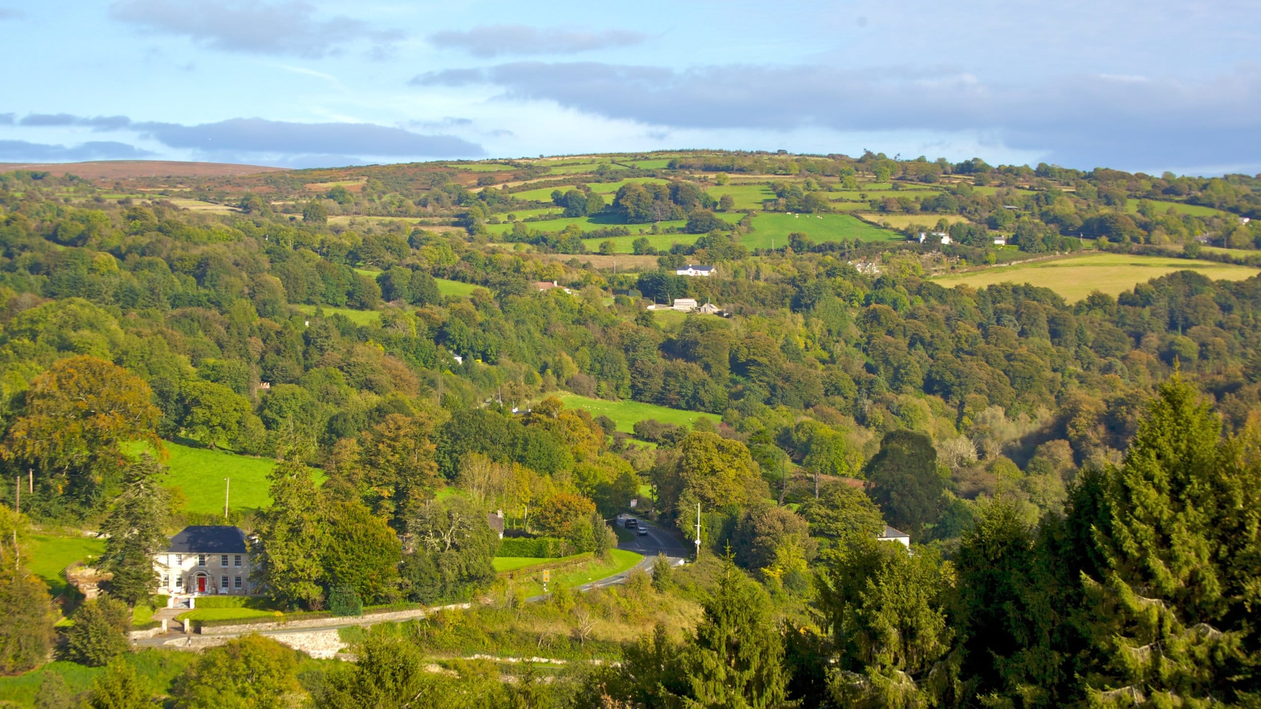 Kilkenny que incluye vistas de paisajes, escenas forestales y escenas tranquilas