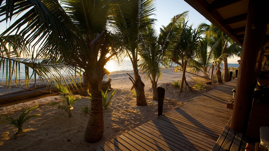 Fiji bevat tropische uitzichten, een zonsondergang en landschappen