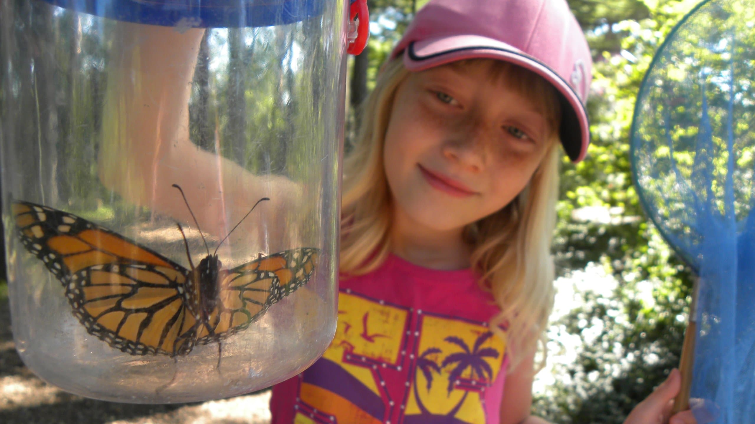 Toronto Botanical Garden showing animals as well as an individual child