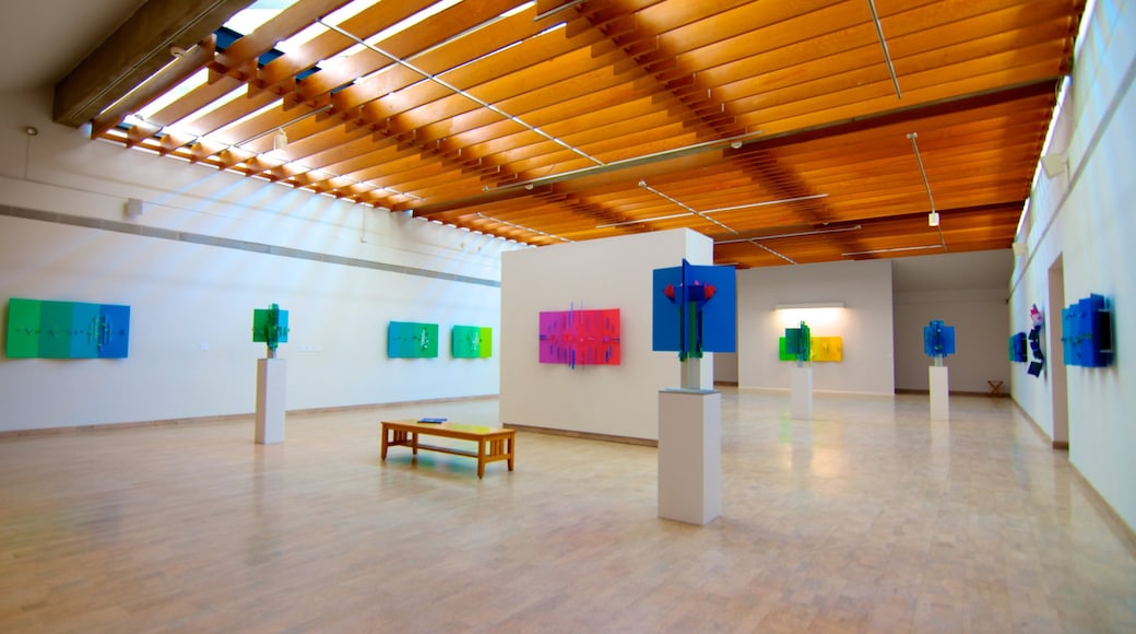 Mendel Art Gallery featuring art and interior views