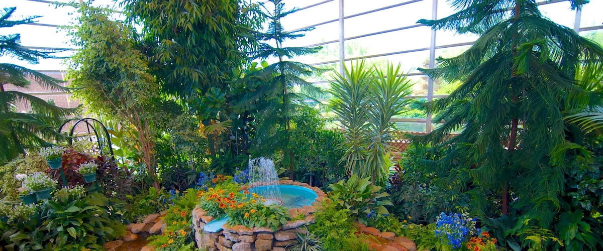 Mendel Art Gallery que incluye un jardín, flores y un estanque