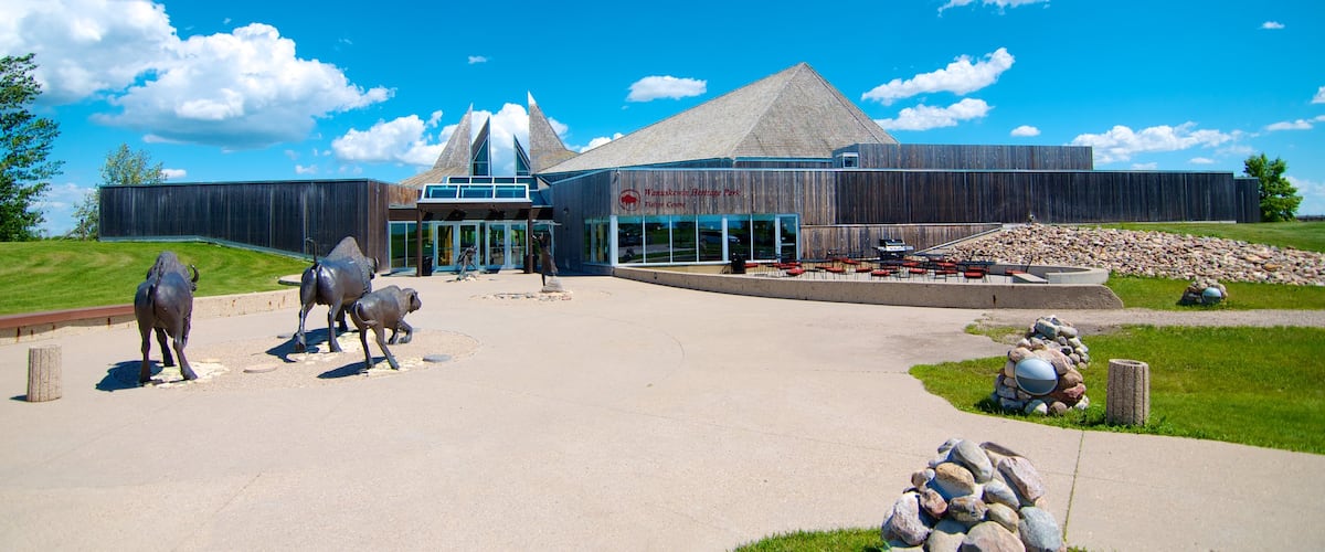 Saskatoon showing a statue or sculpture and a park