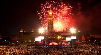 Parliament Hill che include paesaggio notturno, vita notturna e performance d\'arte