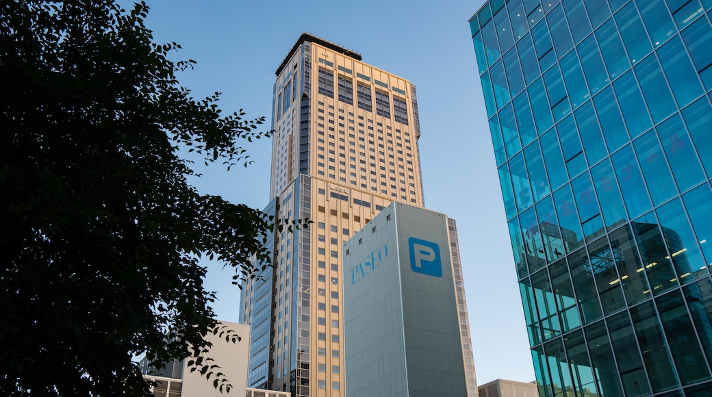 Sapporo JR Tower