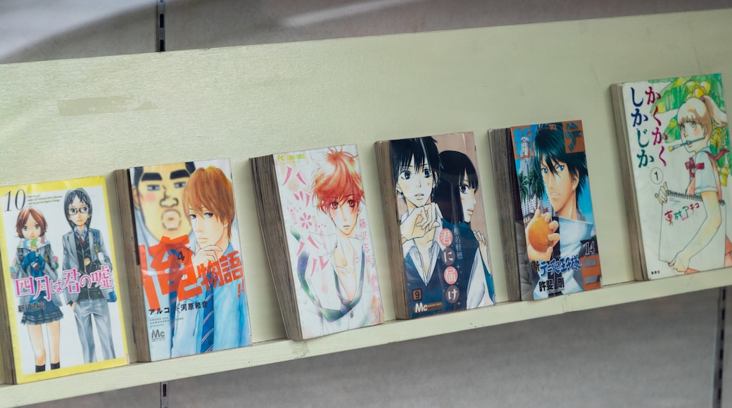 Manga Library-Museum