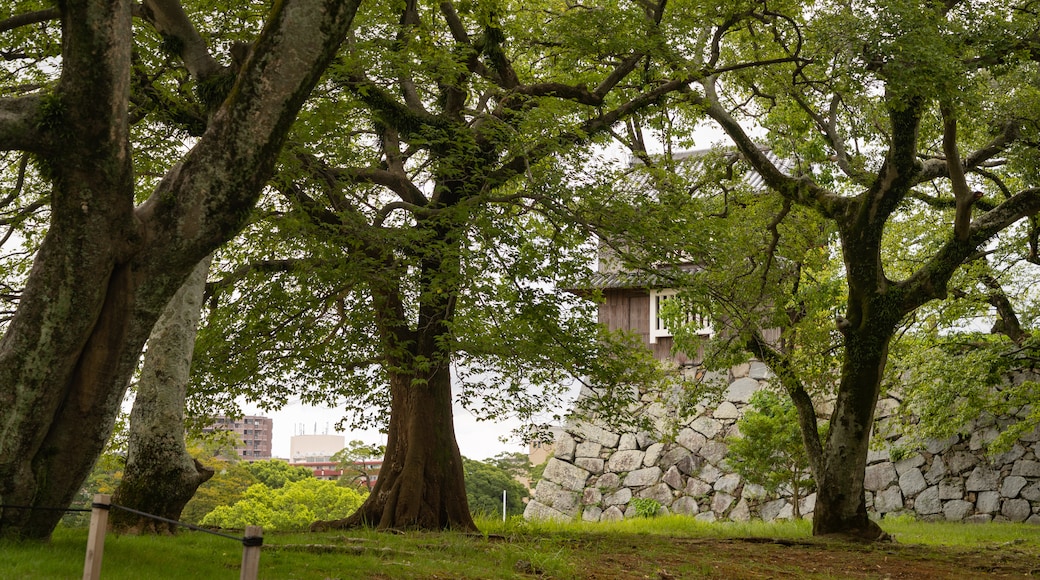 Maizuru Park