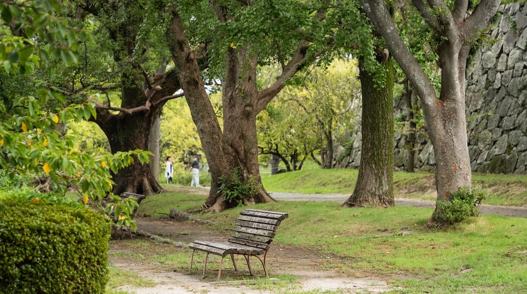 Maizuru Park