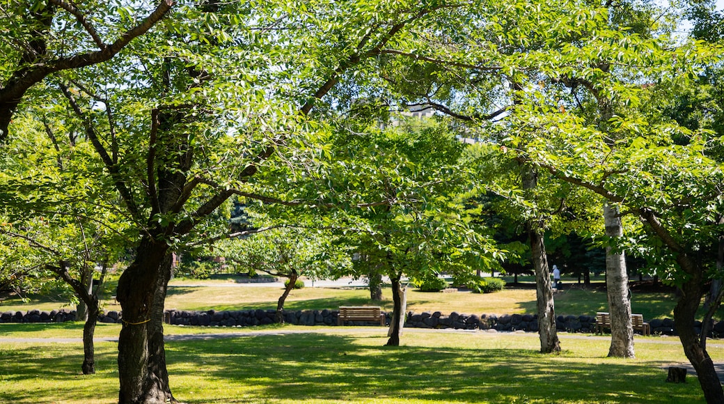 中島公園