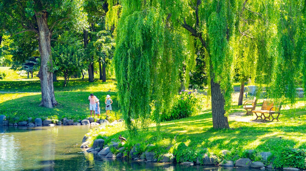 Nakajima Park