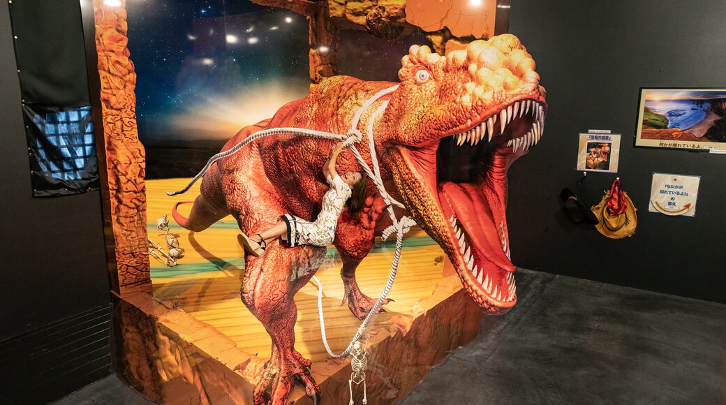 Musée de l'illusion Yufuin Trick Art Meikyukan Museum