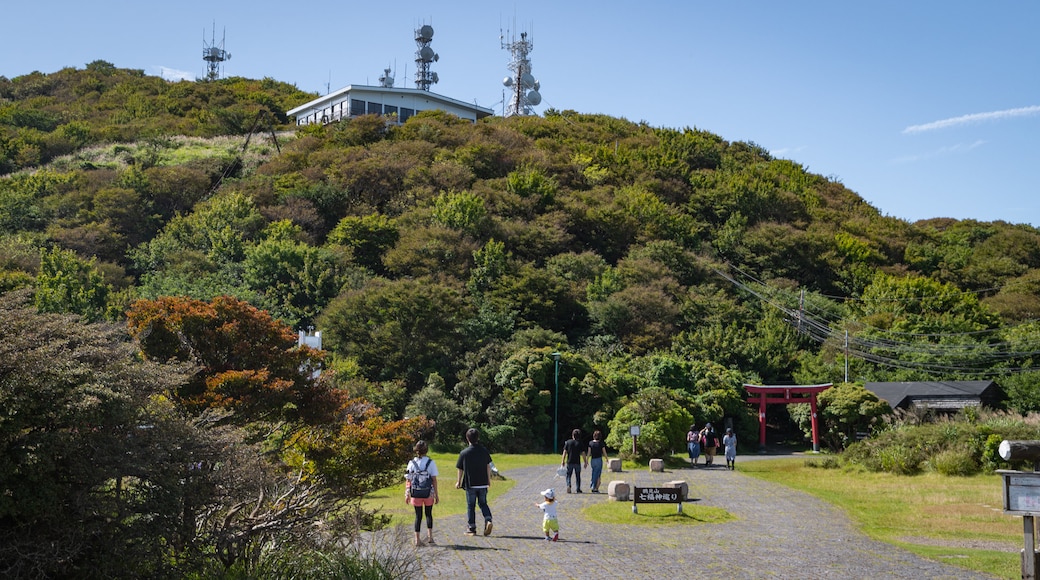 Mount Tsurumi