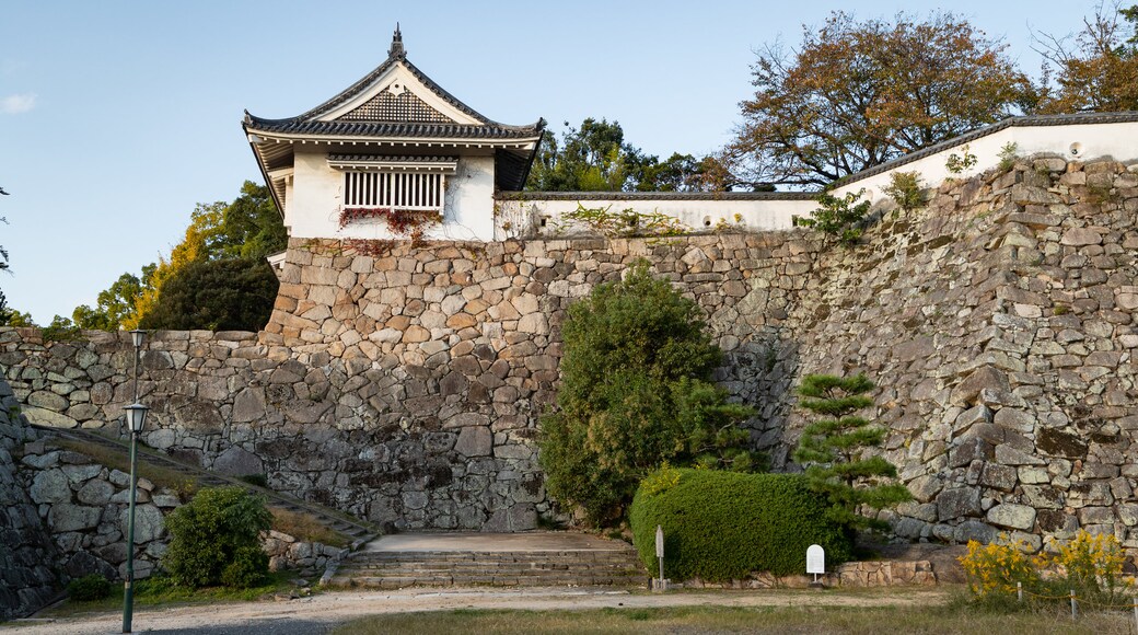 Parc Ujo
