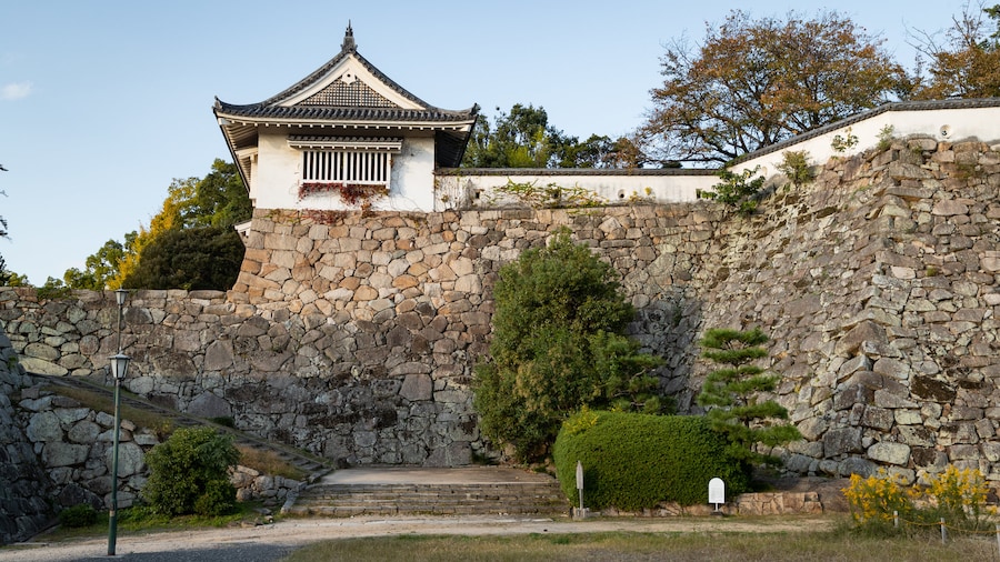 Ujo Park
