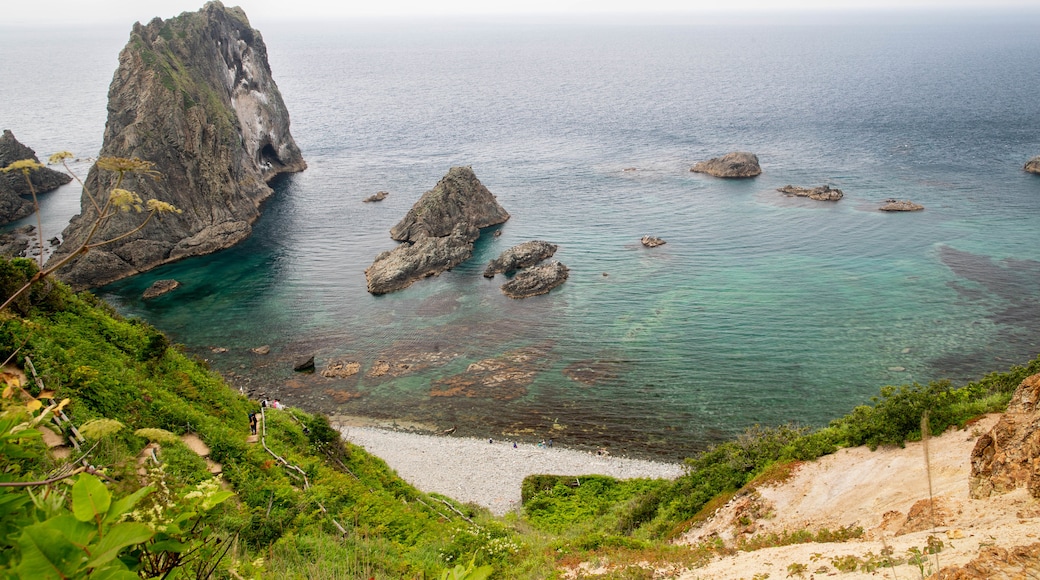 Shakotan Peninsula