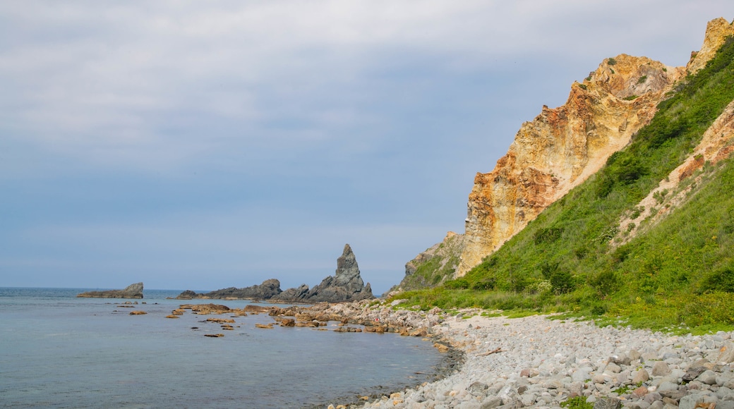 Playa de Shimamu