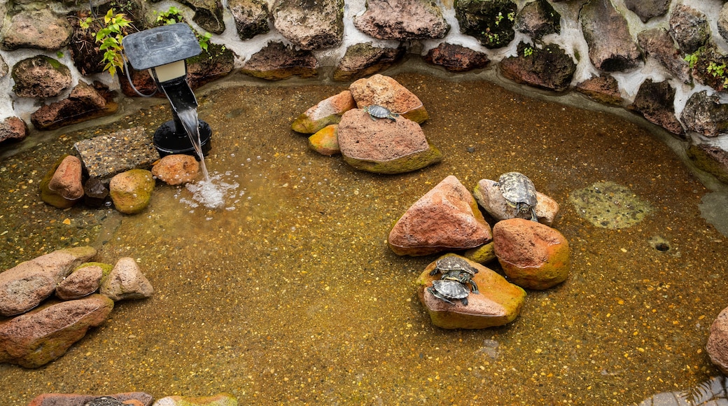 Hakodate Tropical Botanical Garden