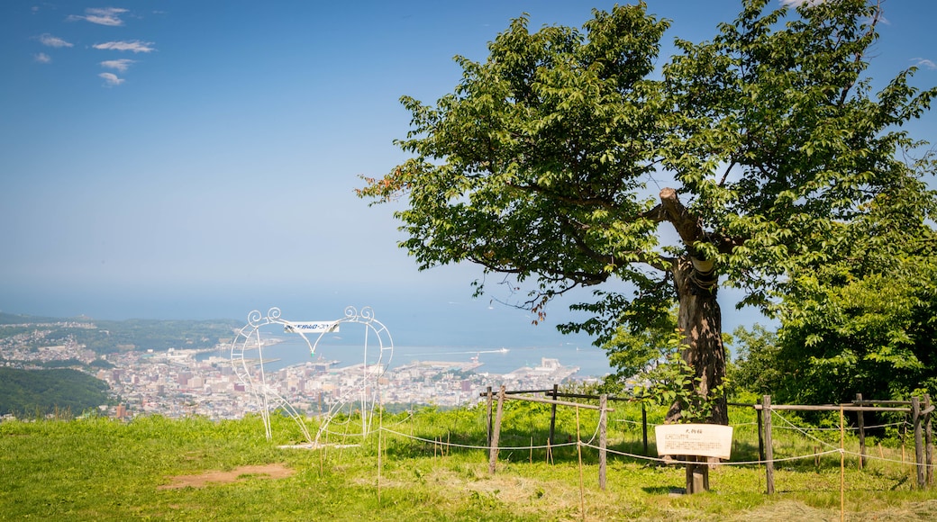 Mount Tengu