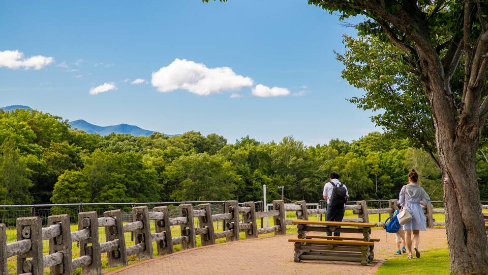 Hitsujigaoka Observatory which includes a garden as well as a family