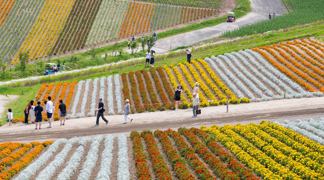 Jardines florales Shikisai no Oka