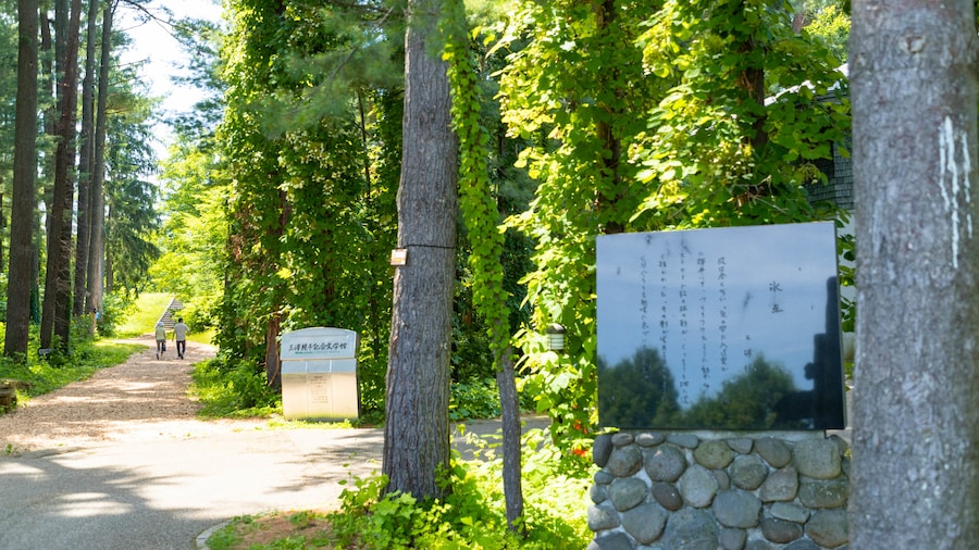 Museo Literario Ayako Miura