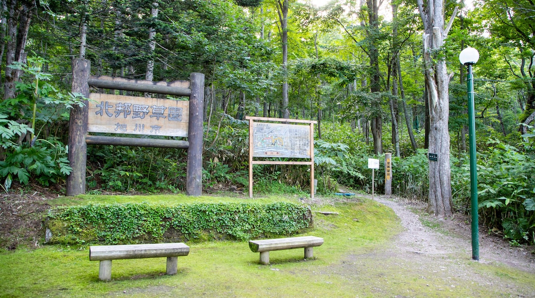 Parco di Arashiyama