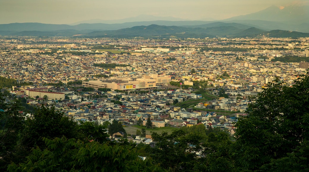 Arashiyama Park