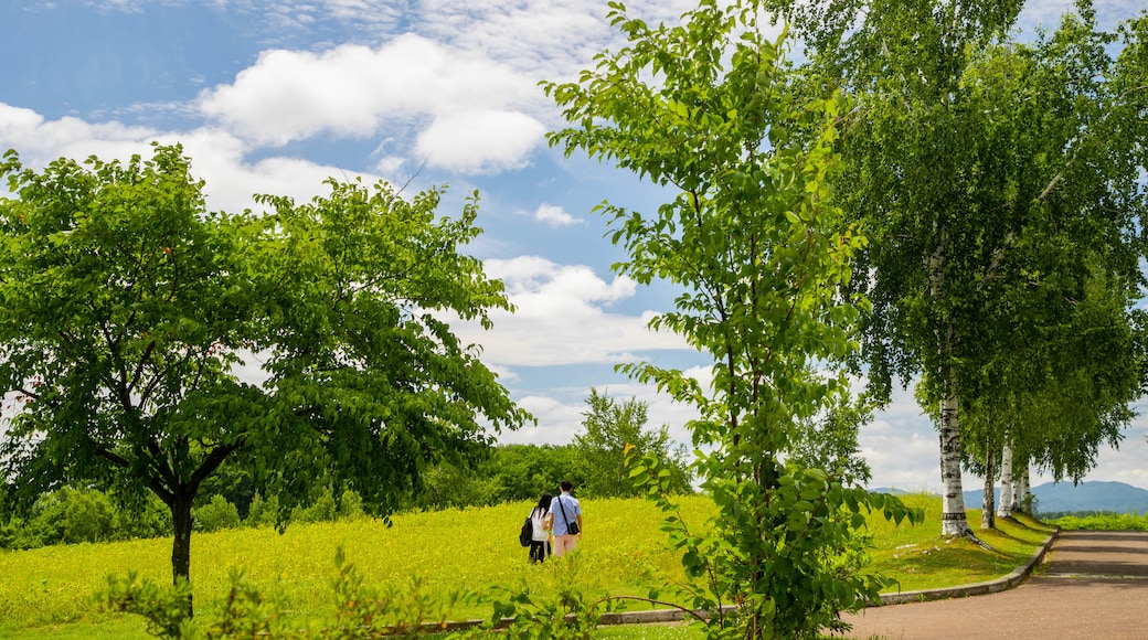 Hokuseinookatenbo Park