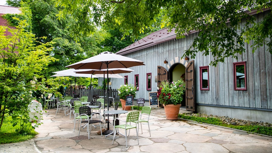 Ueno Farm