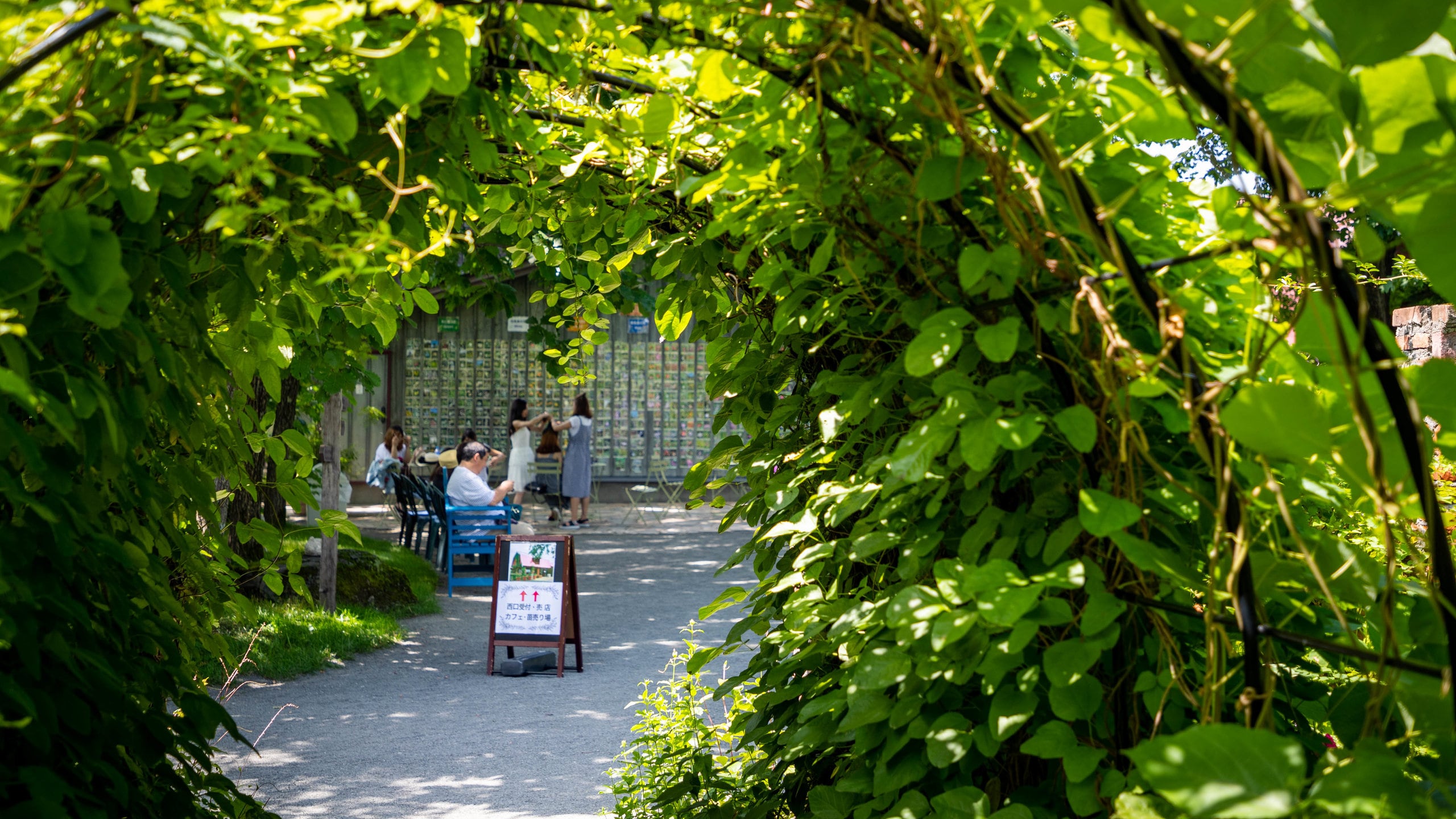 Ueno Farm Tours - Book Now | Expedia