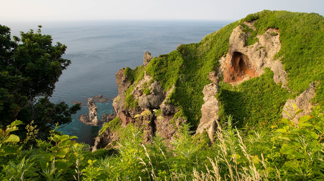 積丹半島