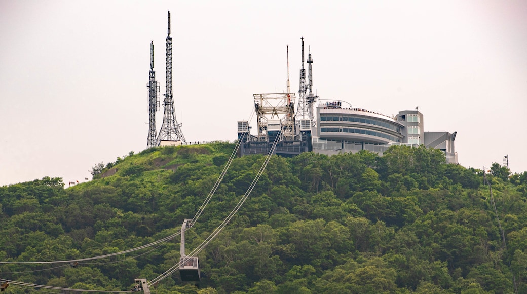 กระเช้าไฟฟ้า Hakodate Ropeway