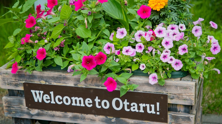 Otaru City General Museum Ungakan
